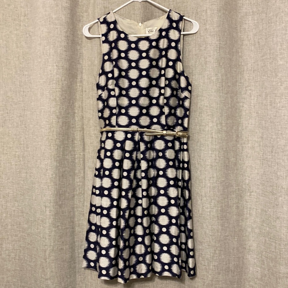 Adorable dress for any fancy occasion